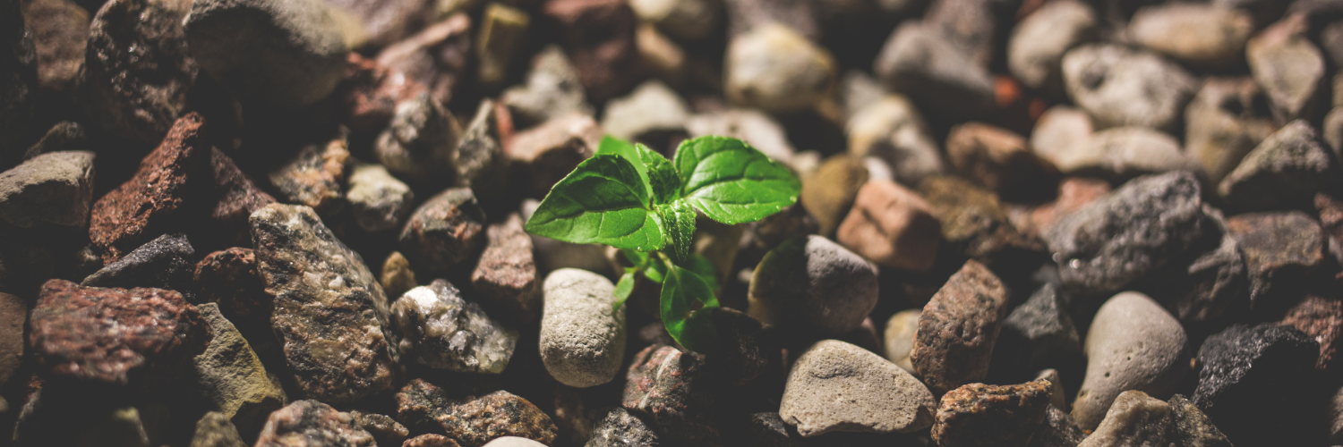 Building resilience