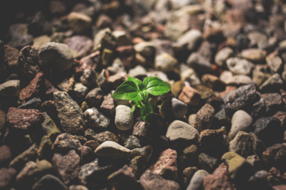 Building resilience